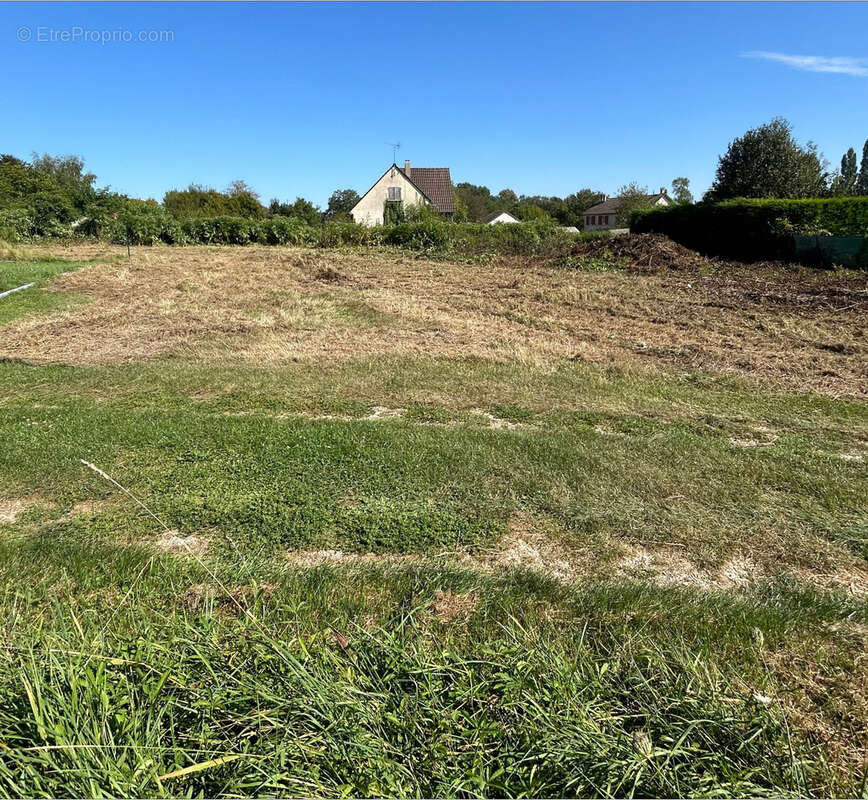 Terrain à MALAY-LE-PETIT