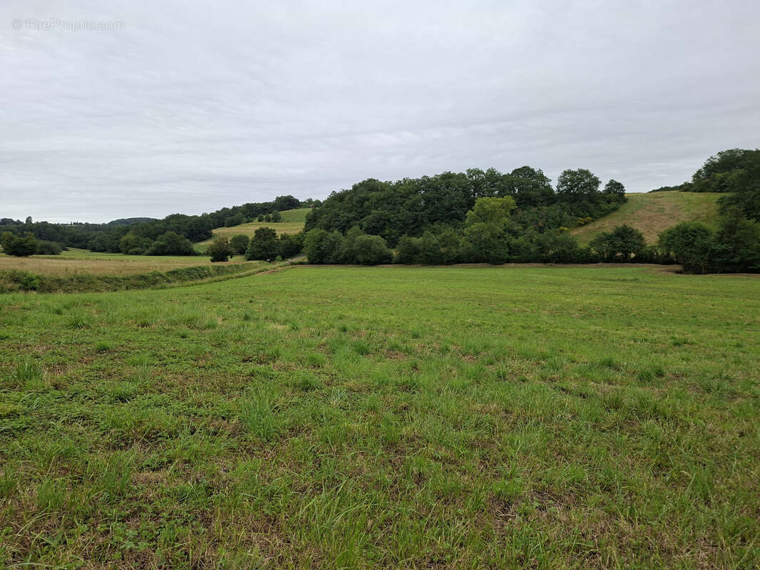 Terrain à MARCIAC