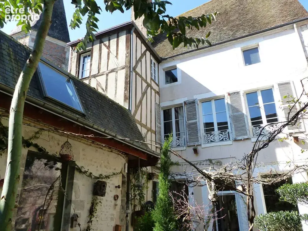 Vente à terme occupée maison d'artiste chatillon sur loire - photo 2