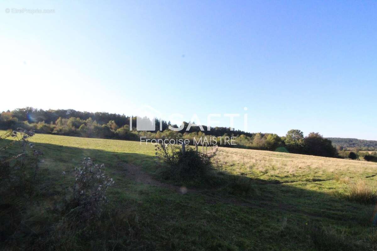 Photo 2 - Terrain à CASTRES