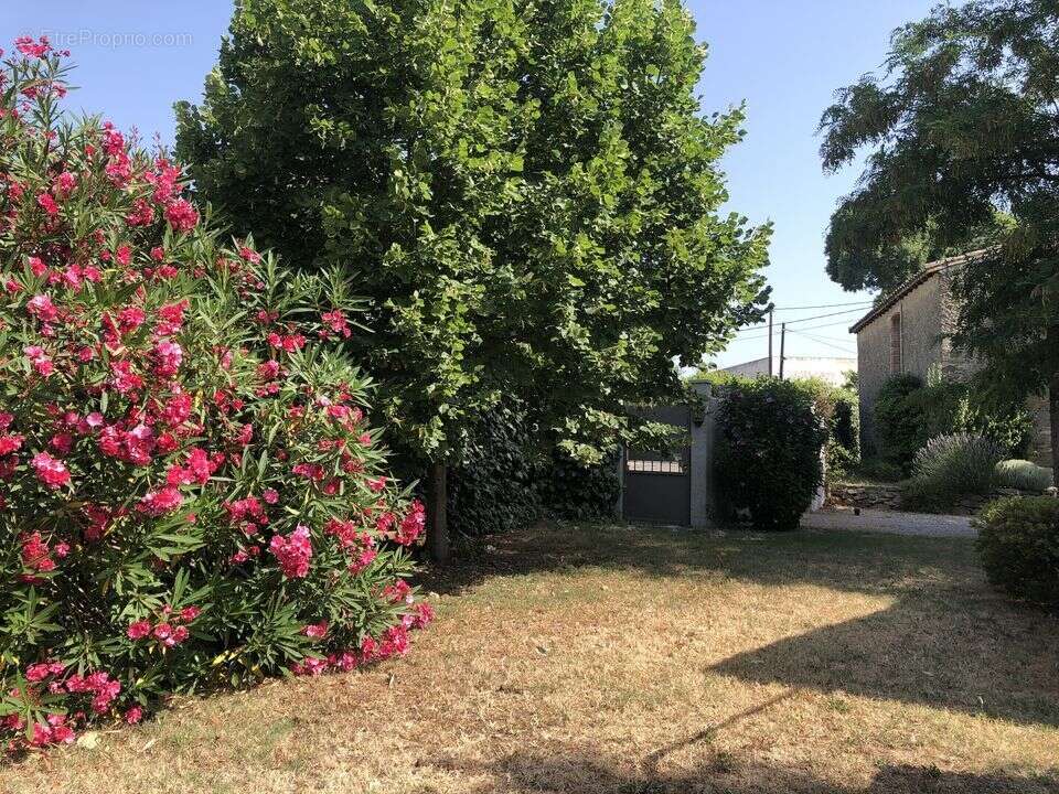 Maison de Maître de Charme avec Piscine ? Carcassonne - photo 23