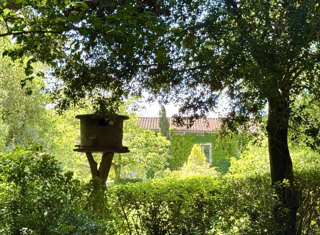 Maison à CARCASSONNE