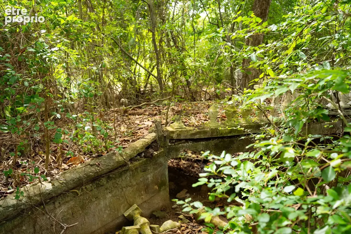Parcelle exceptionnelle, POINTE-NOIRE - photo 2