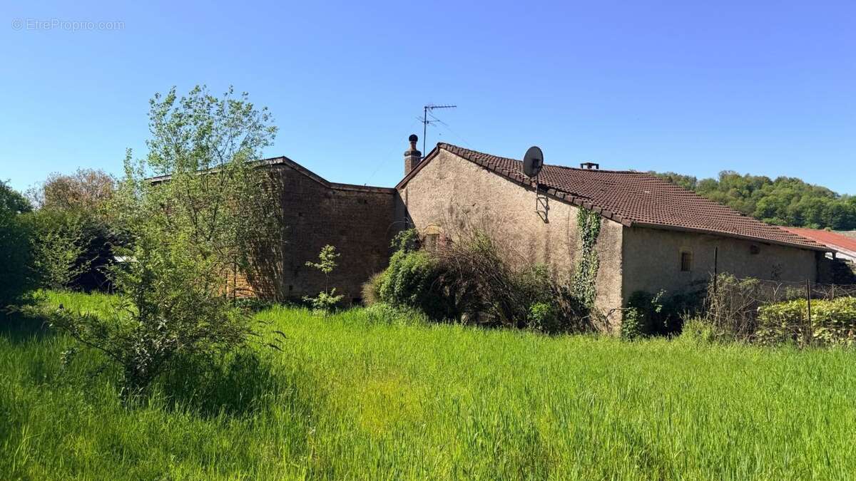 Villecloye maison 3 chambres avec grange, atelier, garage et beau terrain - photo 9