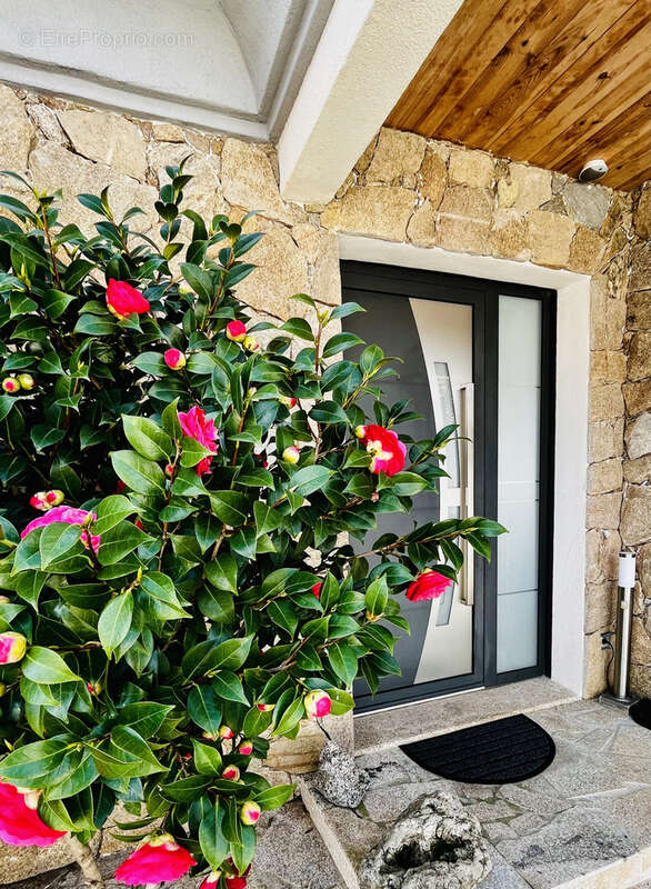 Propriété  5 chambres -  Proche Calvi - photo 2