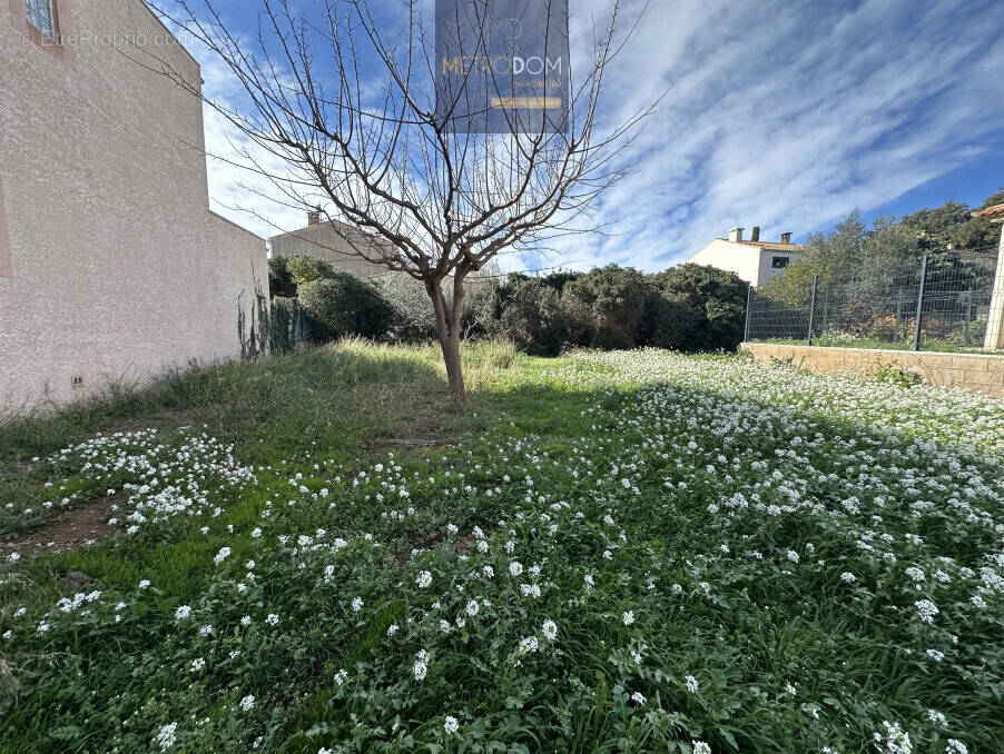Terrain à FRONTIGNAN