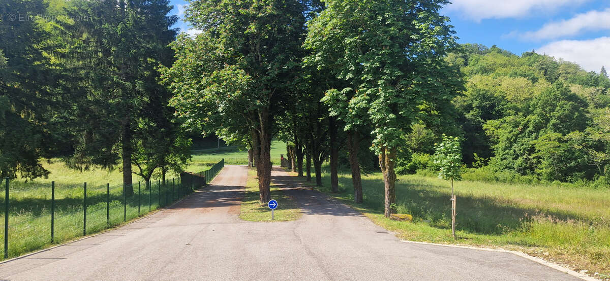 Terrain à CHAZEY-BONS