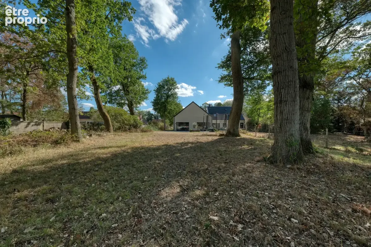 Maison contemporaine de 162m2 - 4 chambres - 1000m2 de terrain boise - photo 2