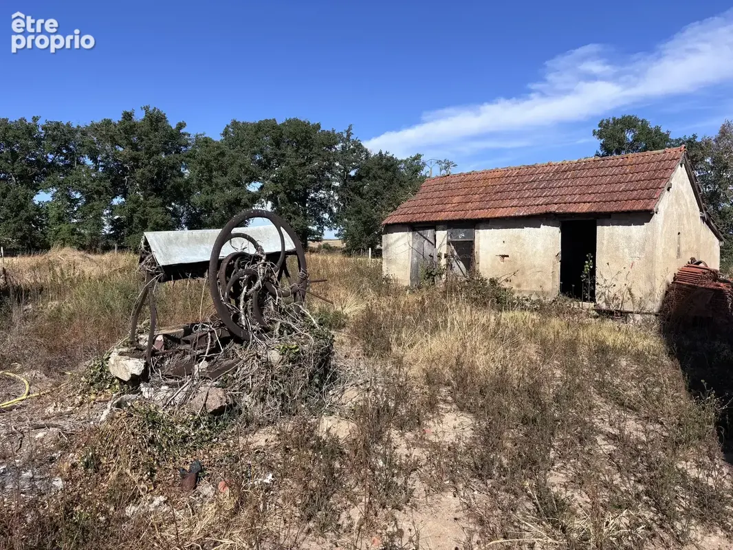 Le Donjon - Ferme à rénover avec une grande grange et des dépendances, sur un terrain de plus de 3 hectares co - photo 33