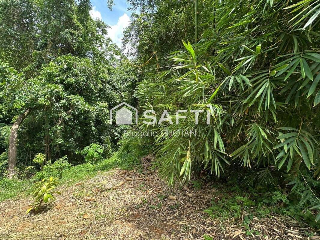 Photo 1 - Terrain à LE ROBERT