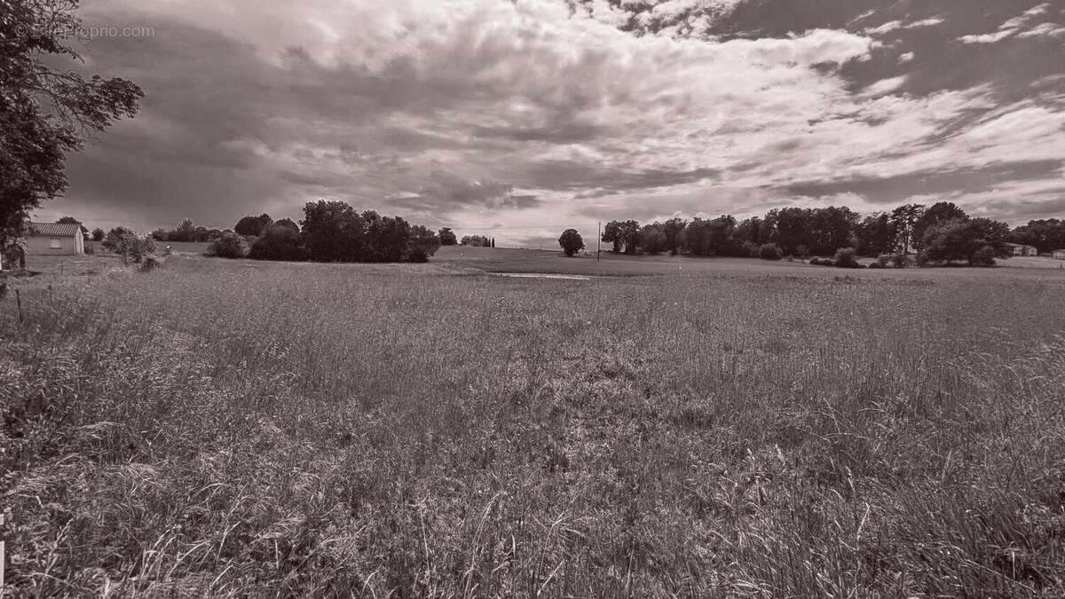 Terrain à BON-ENCONTRE