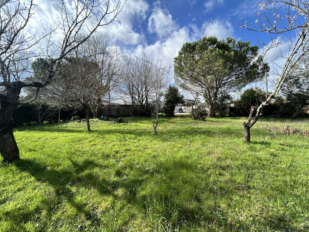 Terrain à SAINT-LOUBES