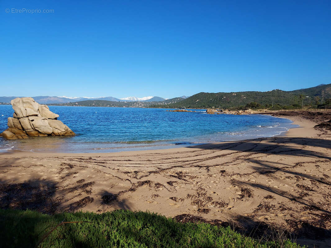 Maison à COTI-CHIAVARI