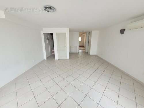 Toulon siblas - photo 6