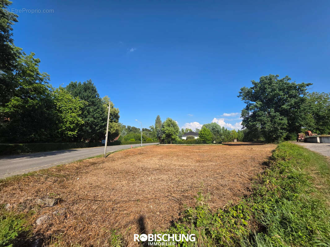 HAUSGAUEN : Terrain de 11 ares 21 - photo 2