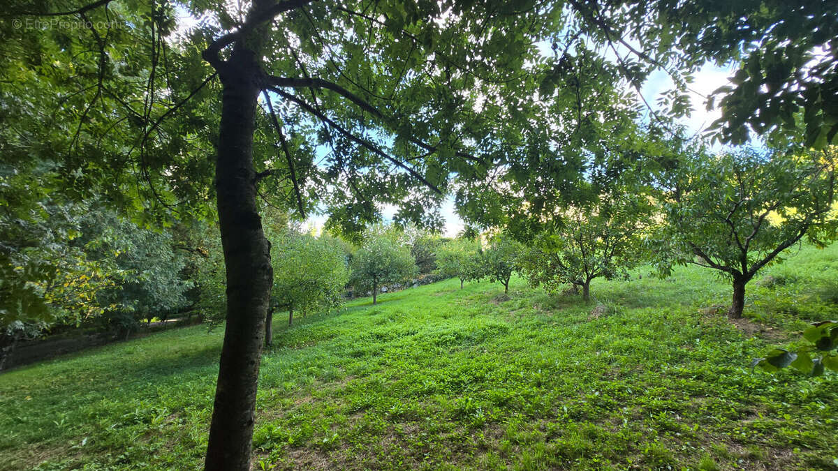 Terrain à MONDONVILLE