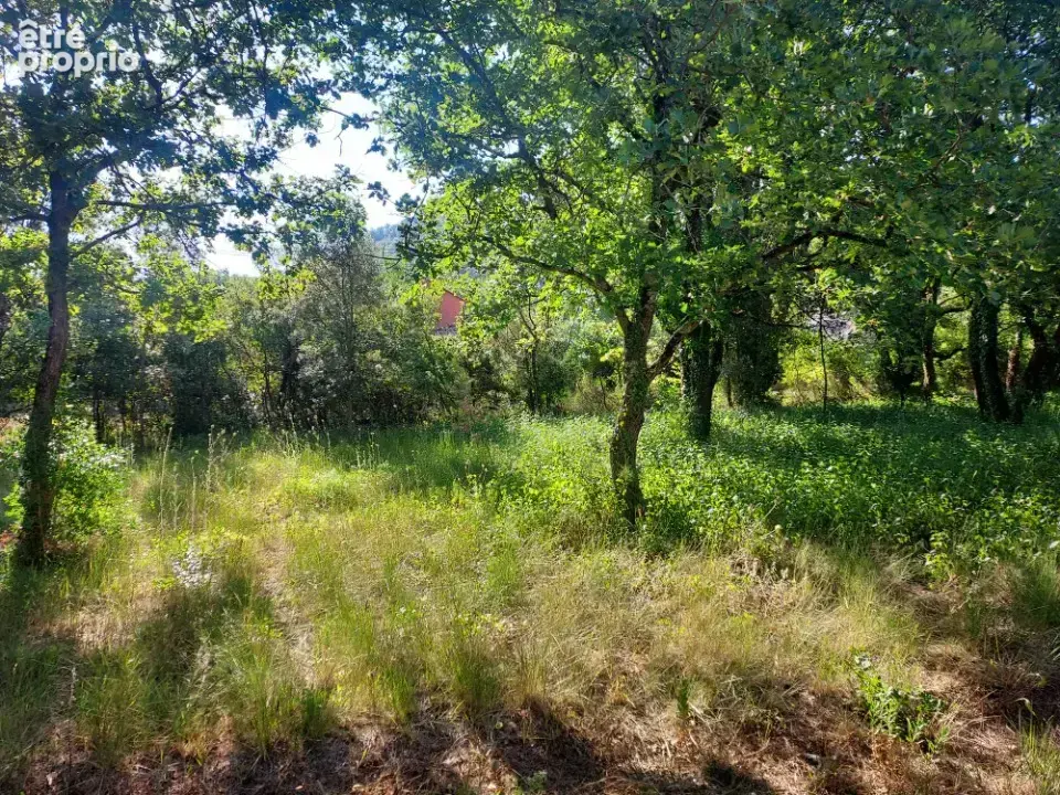 Terrain 1700 m² à Neoules  - photo 3