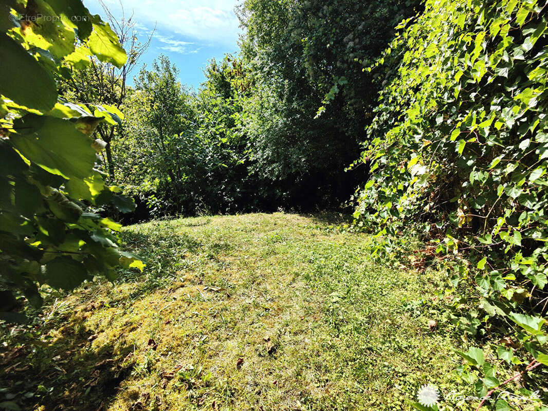 Appartement à SAINT-GERMAIN-EN-LAYE