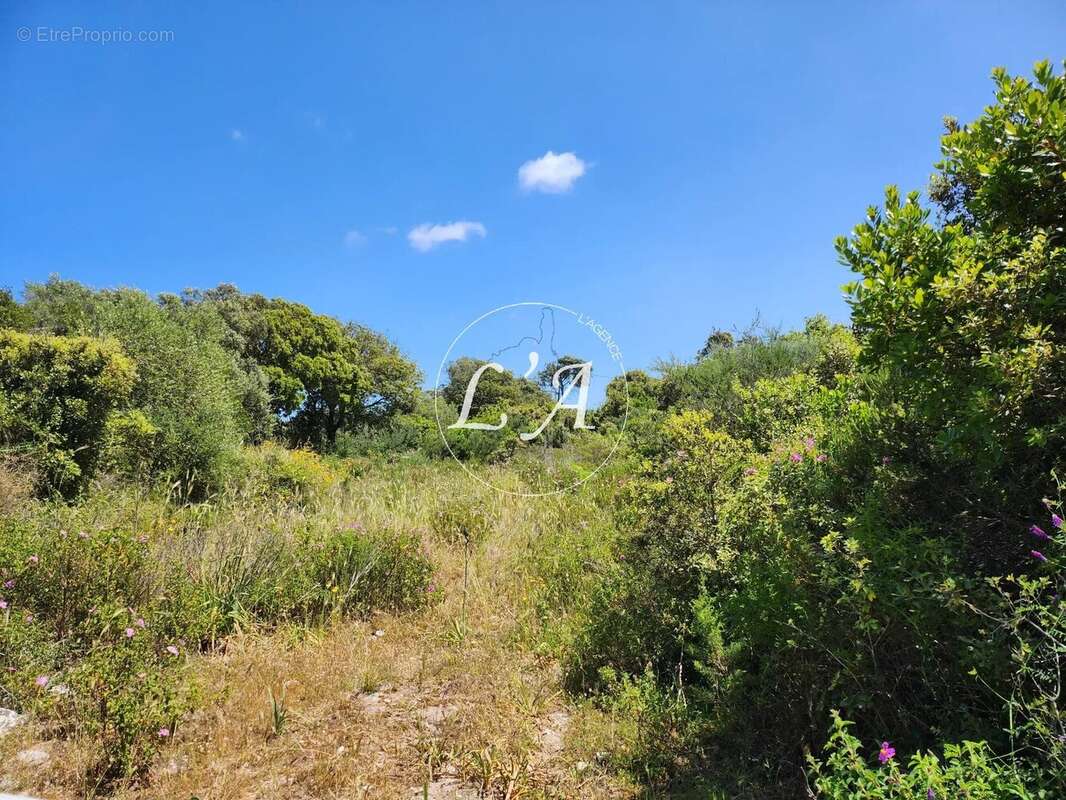 Terrain à BONIFACIO
