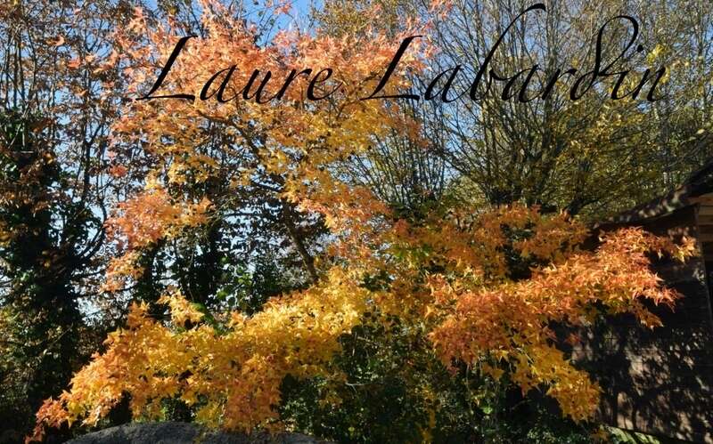 Maison à SAINTE-BAZEILLE