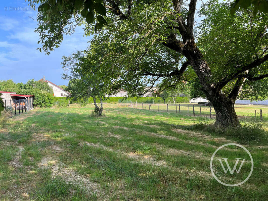 Terrain à FLAGEY-RIGNEY