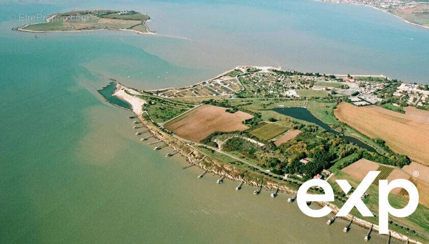Terrain à PORT-DES-BARQUES