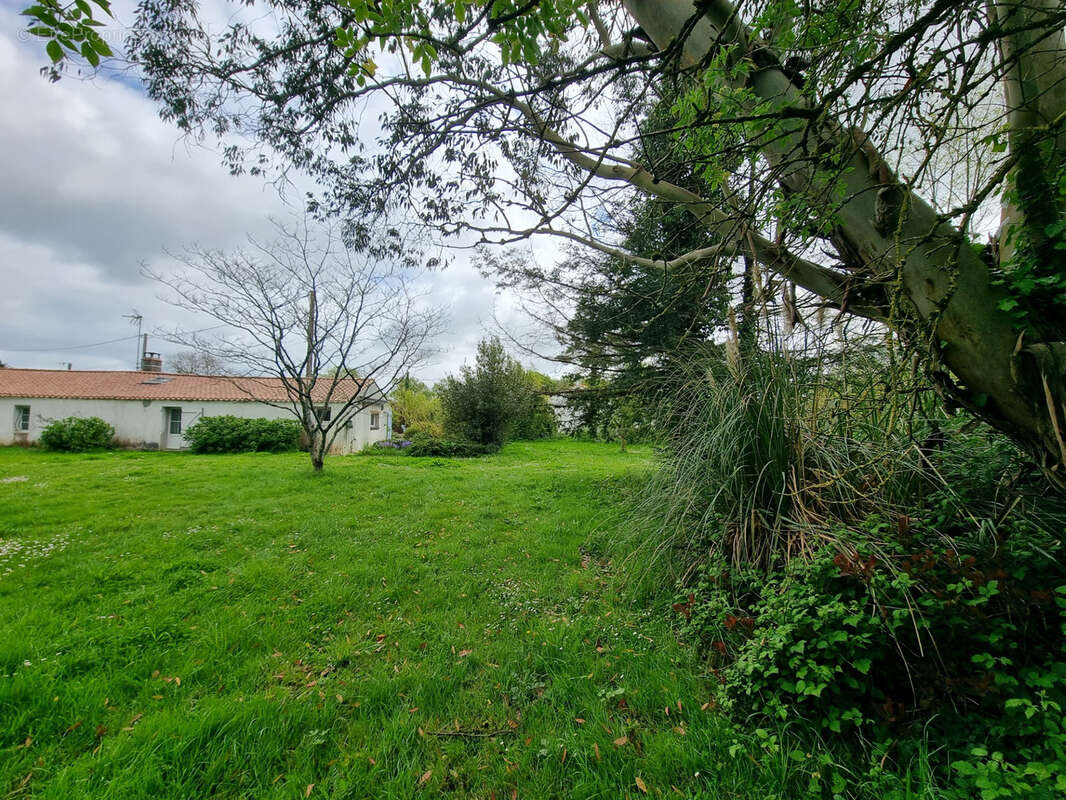 Maison à BOIS-DE-CENE