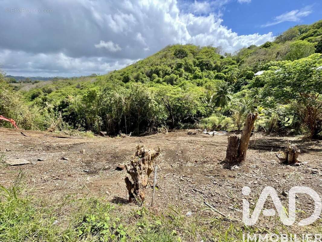 Photo 2 - Terrain à LA TRINITE