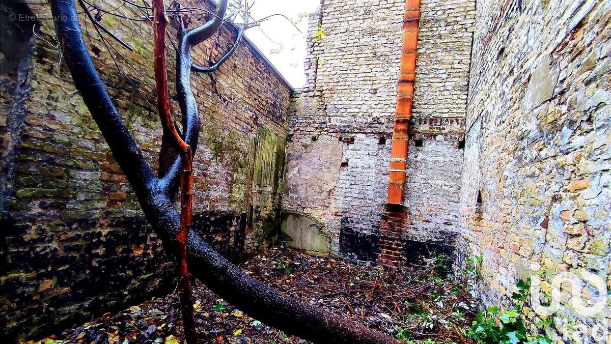 Photo 7 - Maison à SAINT-OMER