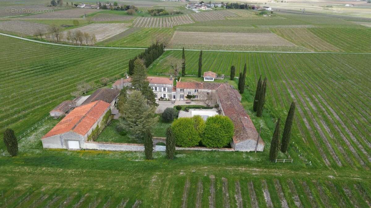 Maison à CHATEAUNEUF-SUR-CHARENTE