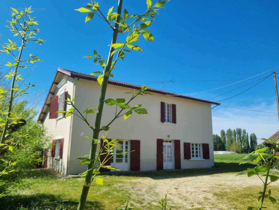 Maison à BAZAS
