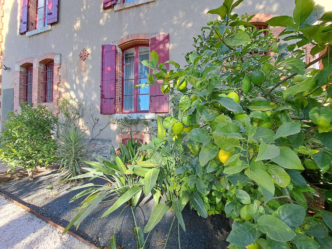 Maison à CASTELNAU-D&#039;AUDE
