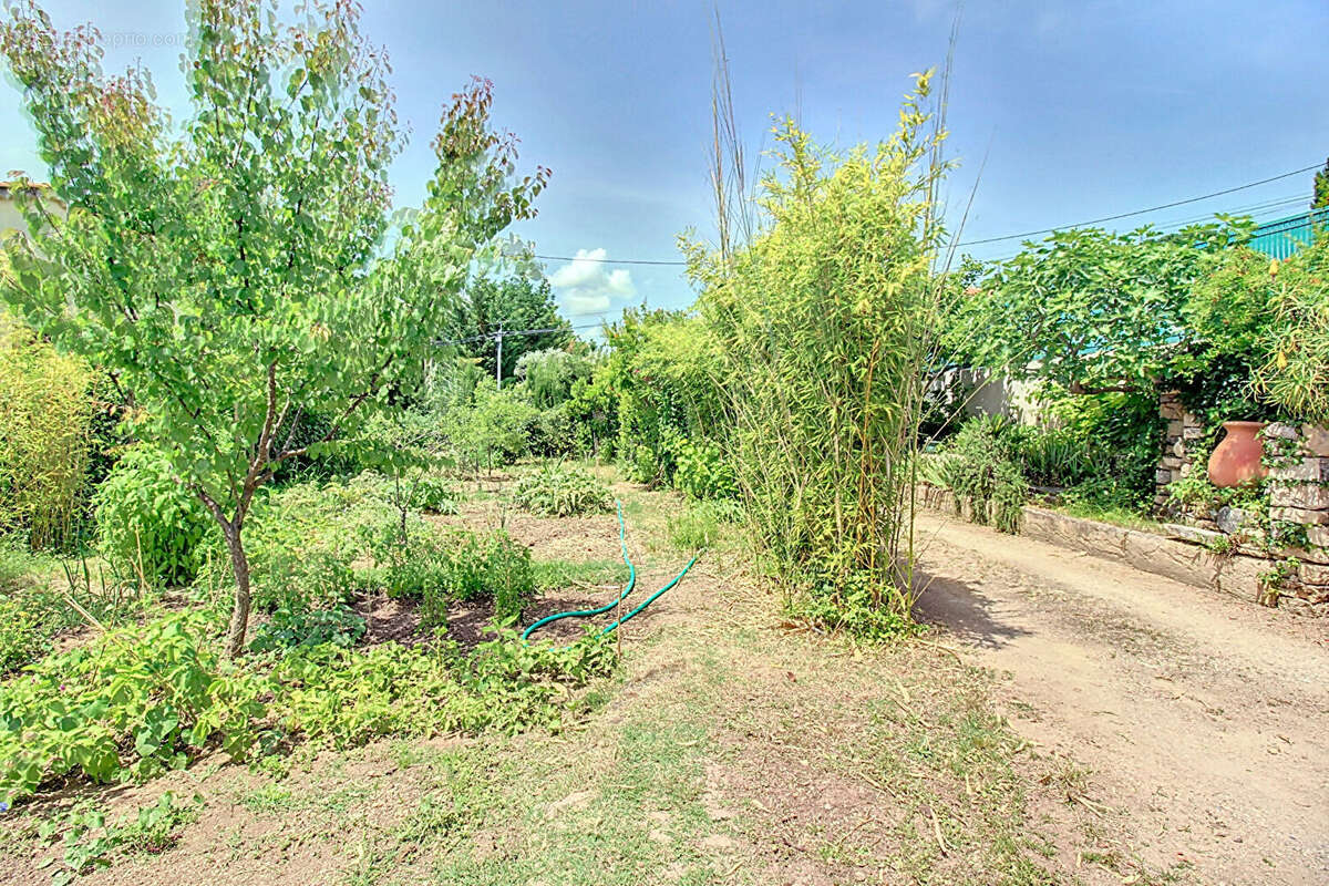 Maison à DRAGUIGNAN