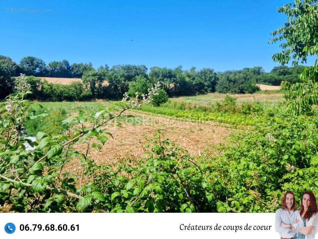 Maison en pierre rénovée avec piscine - photo 5