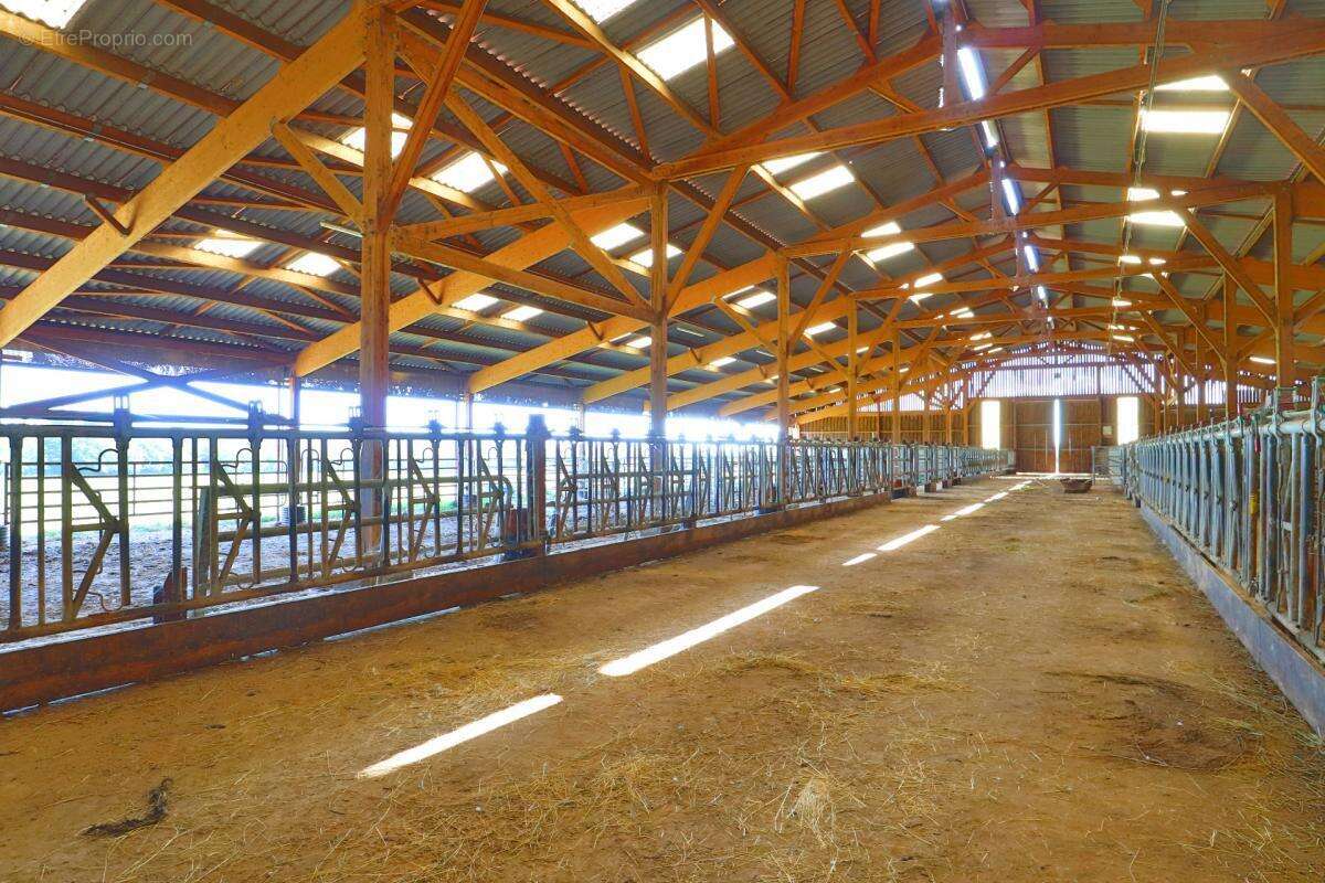 EXCLUSIF Propriete agricole avec 7 hectares possible 70 hectares en location - photo 6