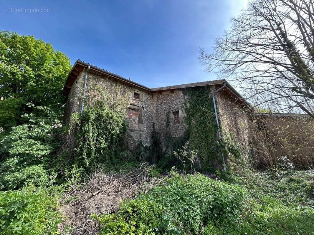 Maison 375 m² à Besayes  - photo 7