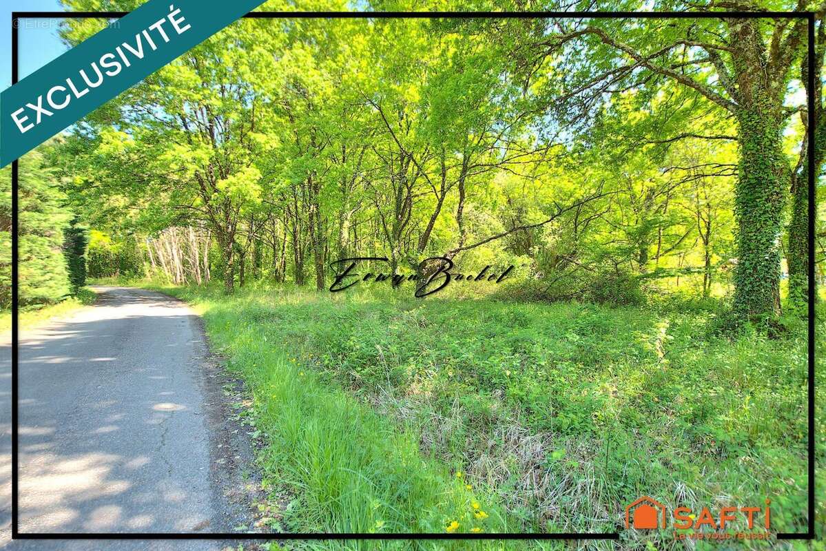 Photo 4 - Maison à SAINT-PAUL