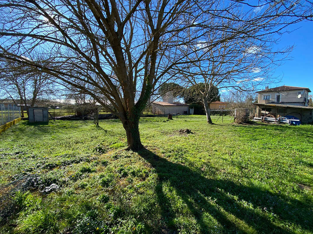 Terrain à LHERM