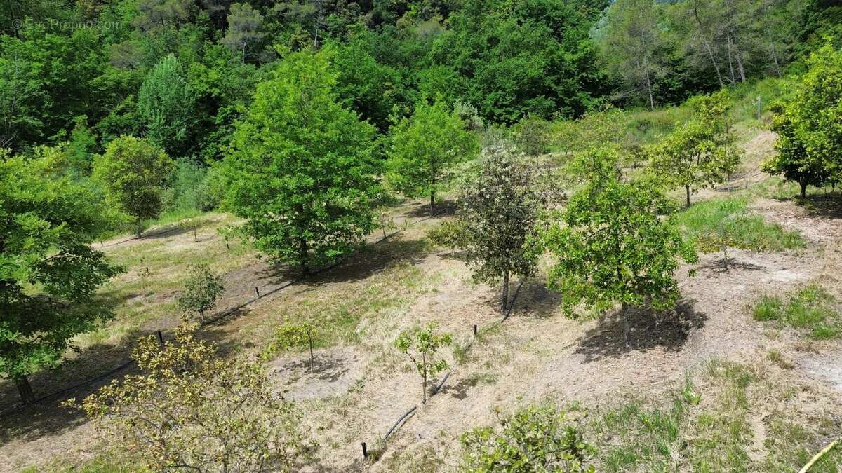 Terrain à VENCE
