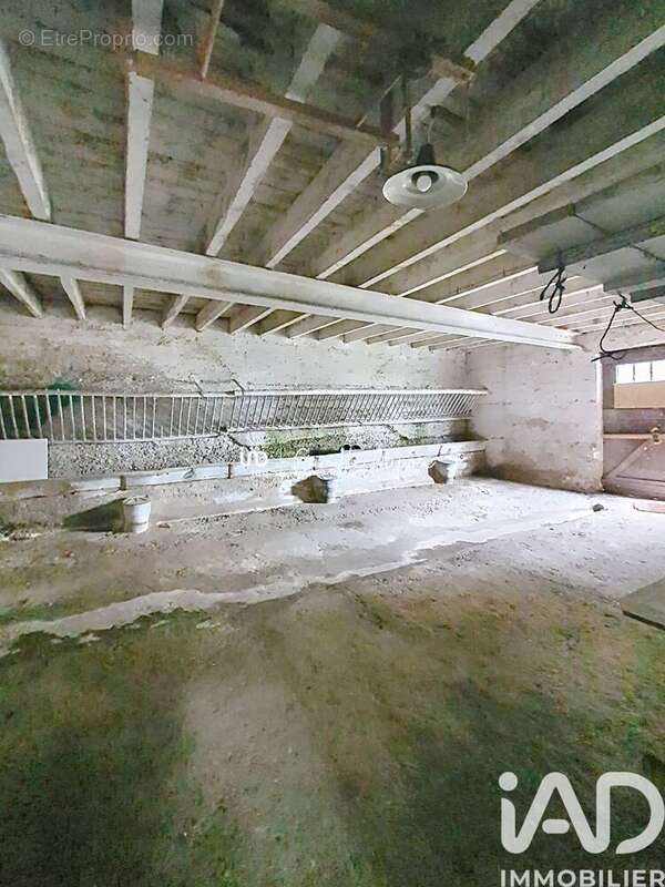 Photo 8 - Appartement à CHAZEY-SUR-AIN