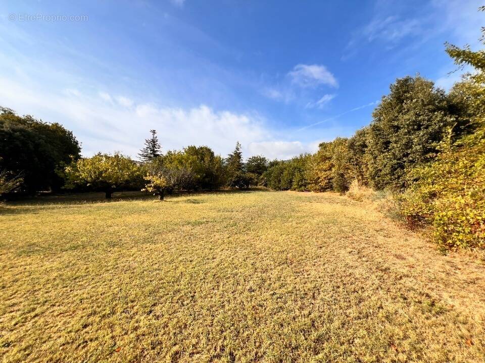 Terrain à L'ISLE-SUR-LA-SORGUE