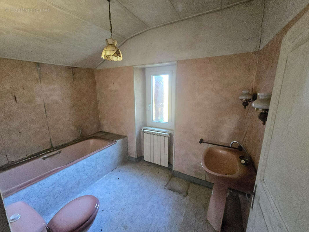 Corps de ferme a renover sur 4560m² - photo 8