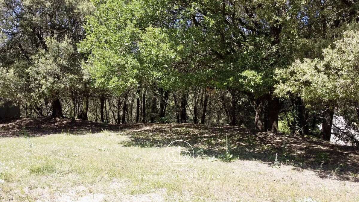 Terrain à ZICAVO