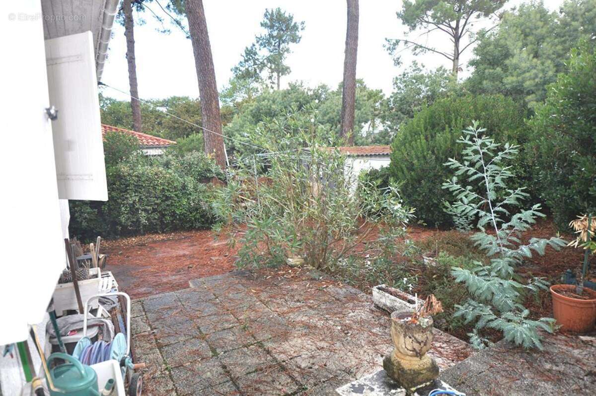 Terrain arcachon abatilles - photo 4