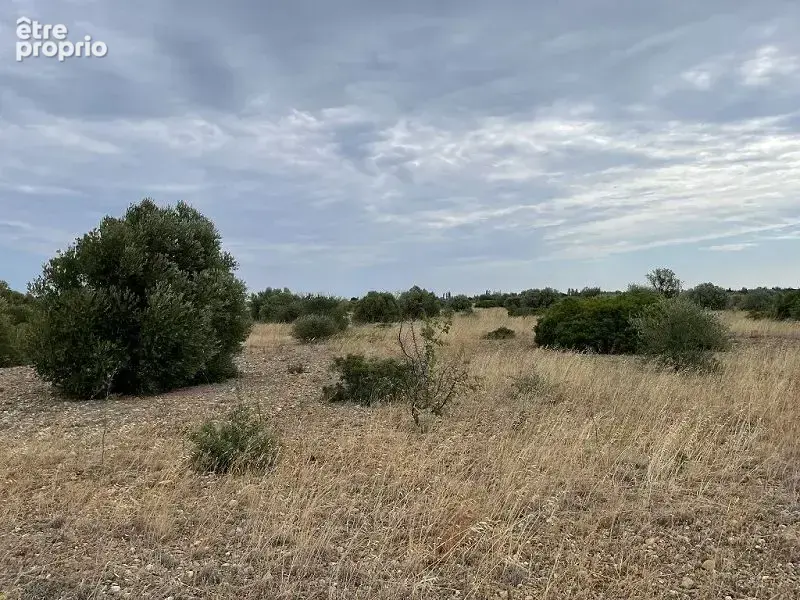 Terrain 10 558 m² à vendre à Saint-Hippolyte (66510) - photo 6