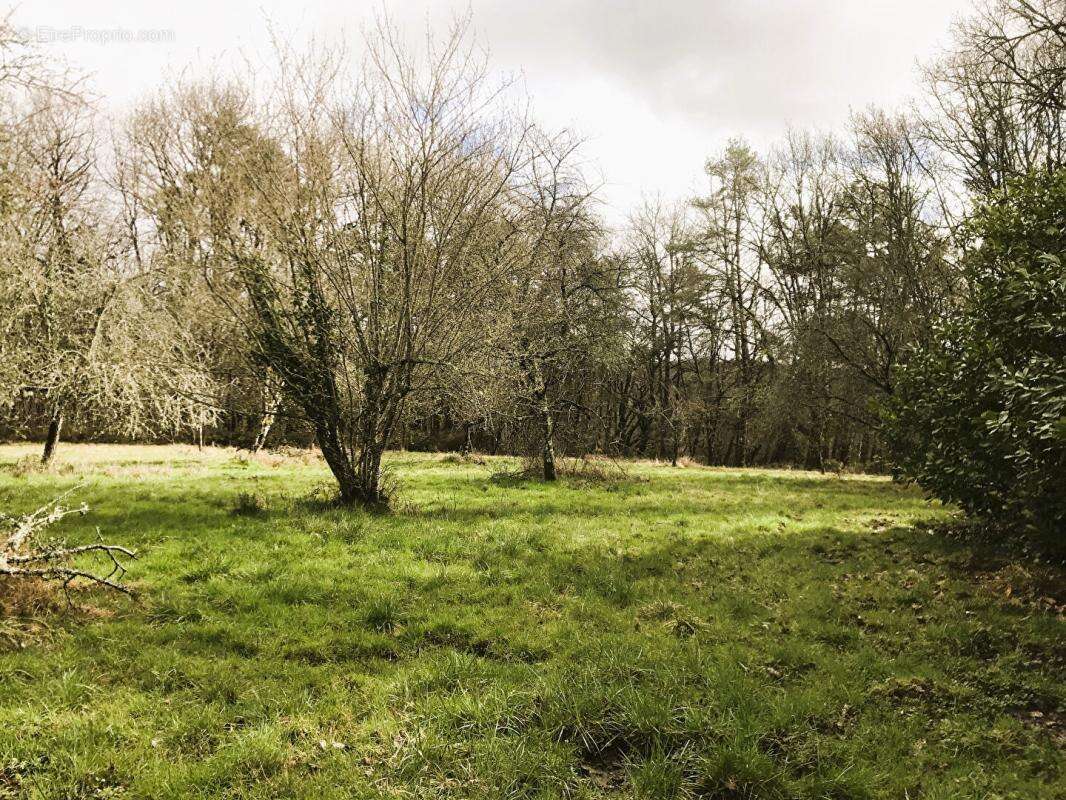 Maison à TOCANE-SAINT-APRE