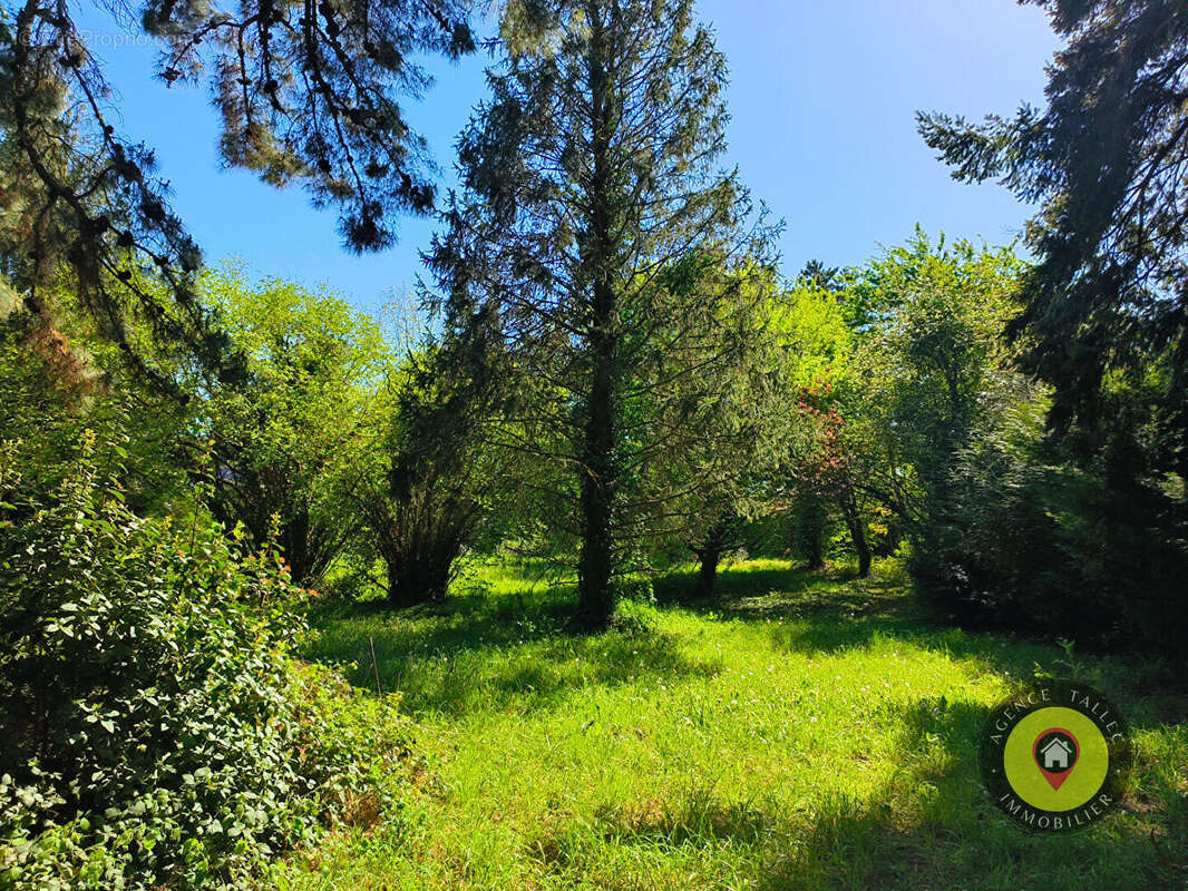 Maison à LE MONT-SAINT-MICHEL