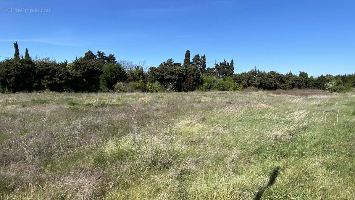 Terrain à CAVAILLON