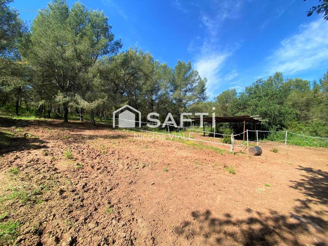 Photo 3 - Maison à SOLLIES-PONT