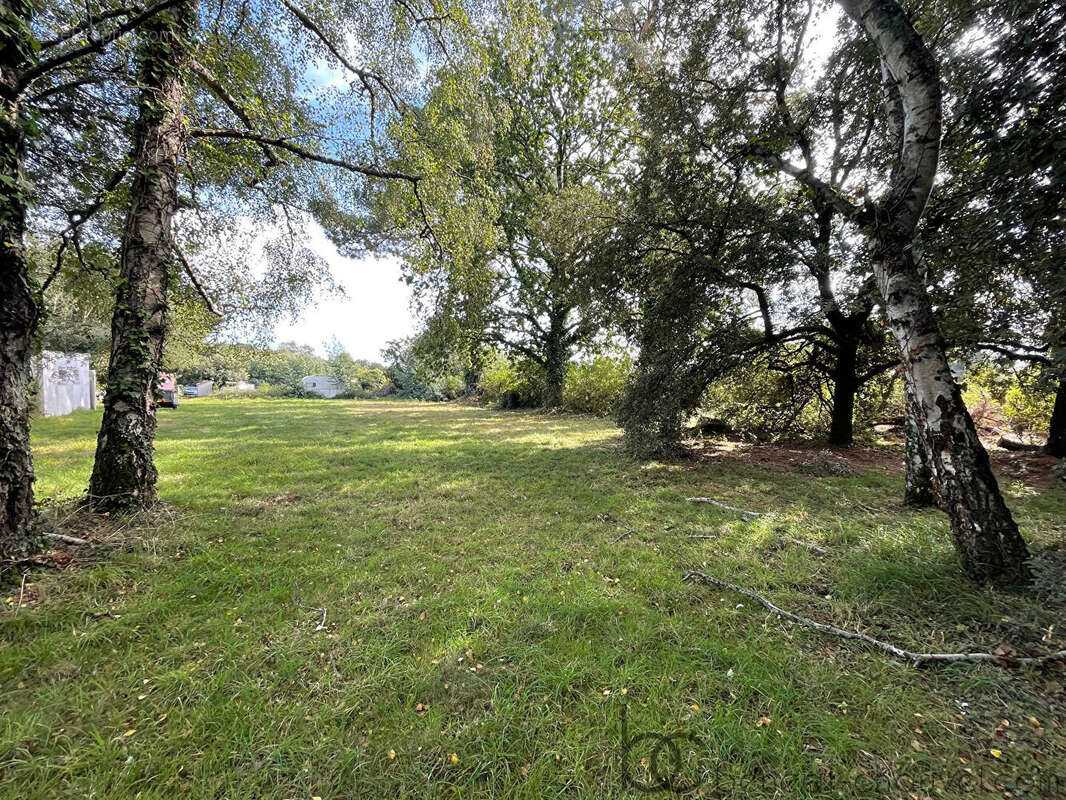 Terrain à SAINT-GILDAS-DE-RHUYS